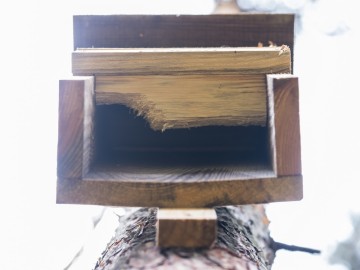 Letnie działania w Przedborskim Parku Krajobrazowym 2025, 